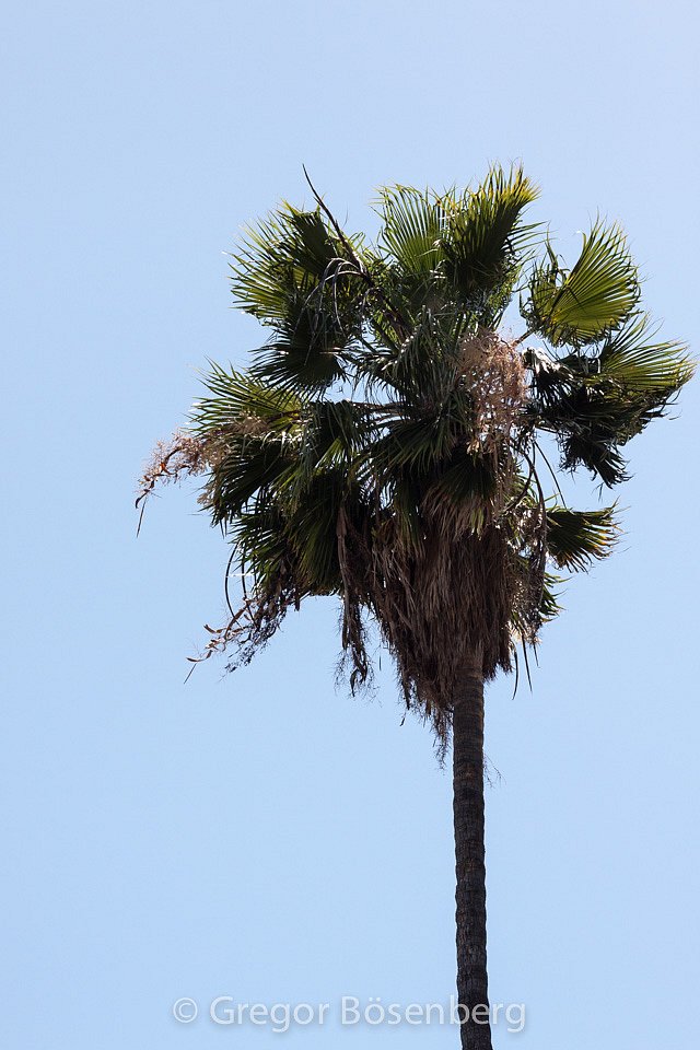 IMG-9838.jpg