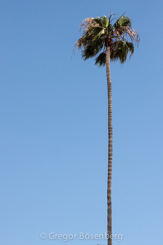 IMG-9840.jpg