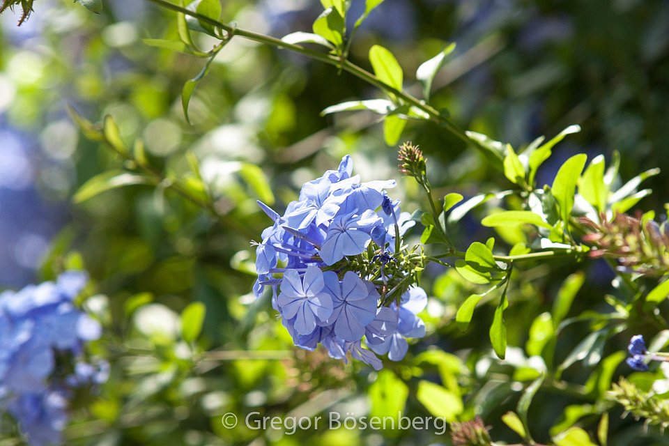 IMG-9846.jpg
