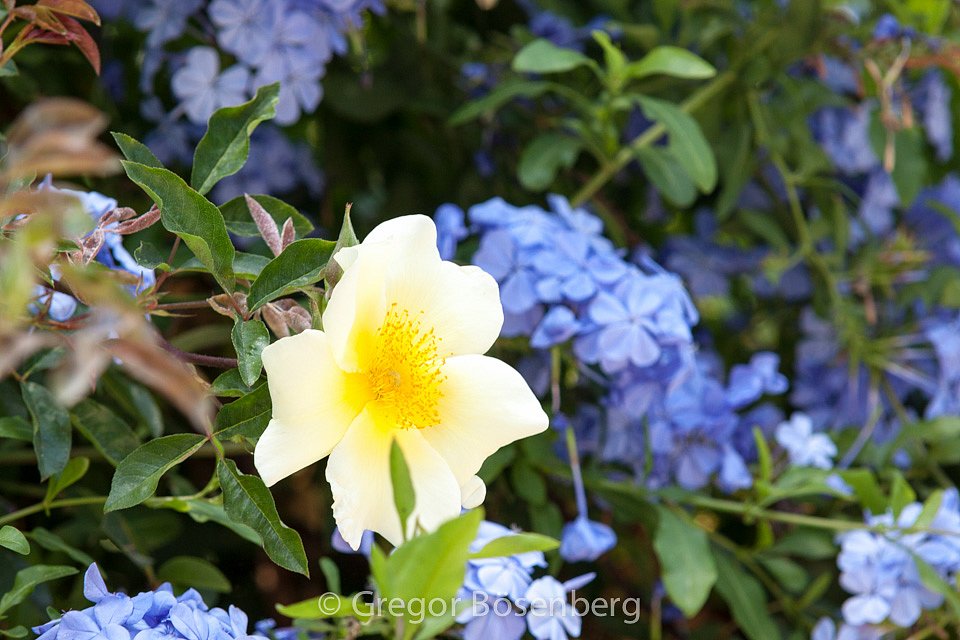 IMG-9847.jpg