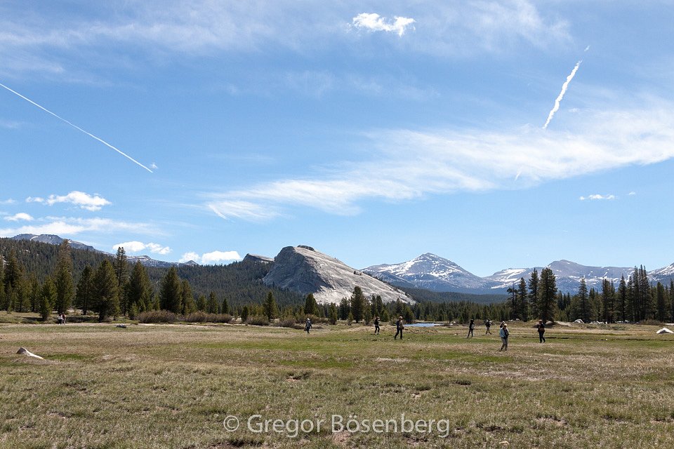IMG-0697.jpg