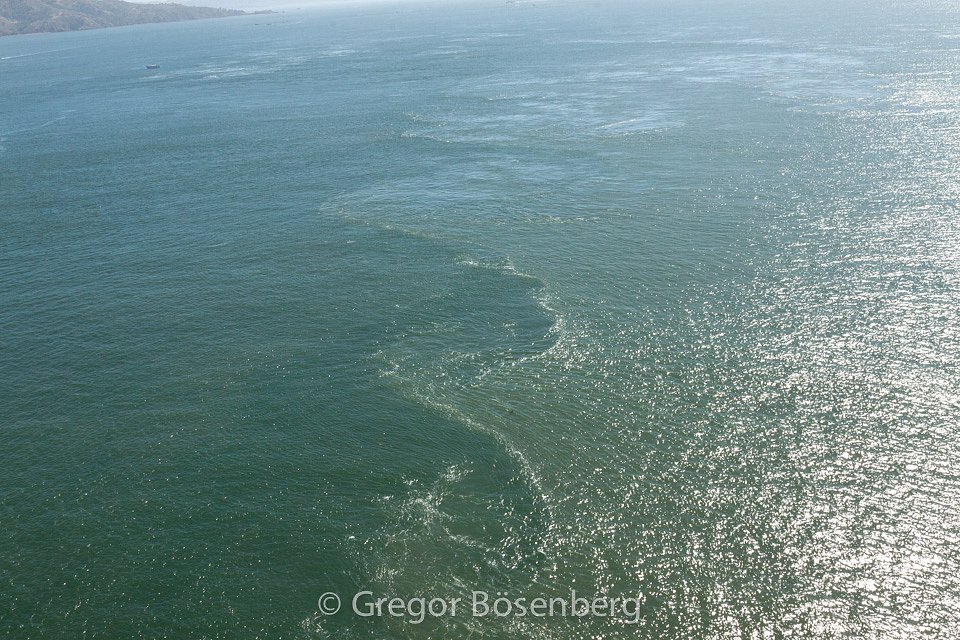 IMG-1078.jpg
