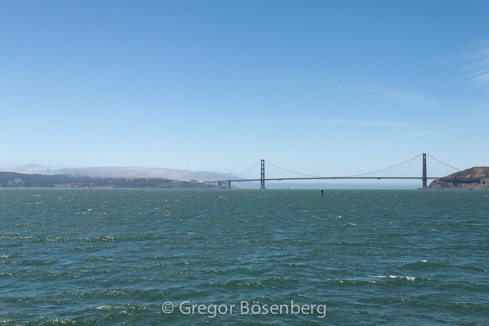 IMG-1146.jpg