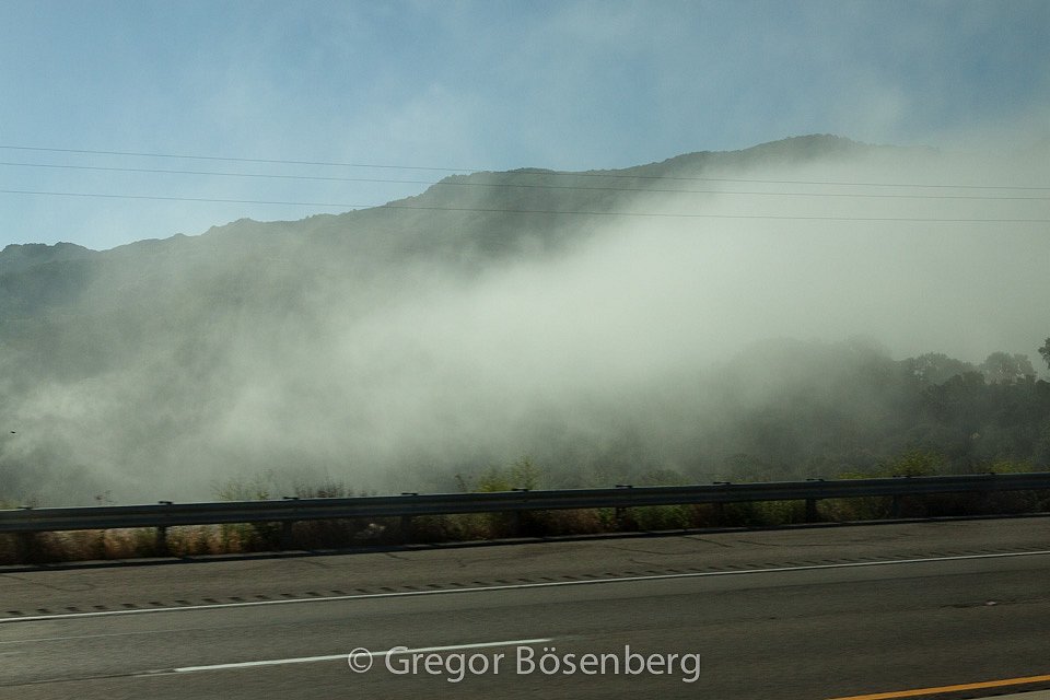 IMG-1252.jpg