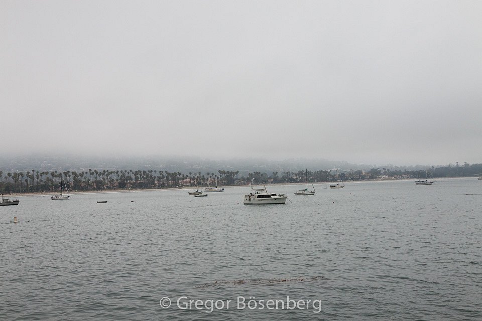 IMG-1254.jpg