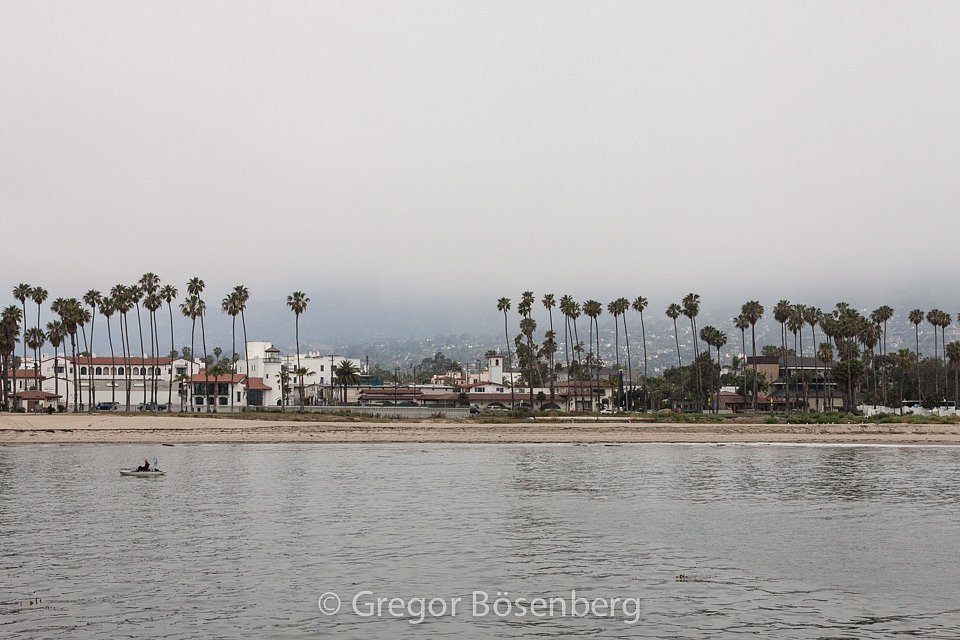 IMG-1255.jpg