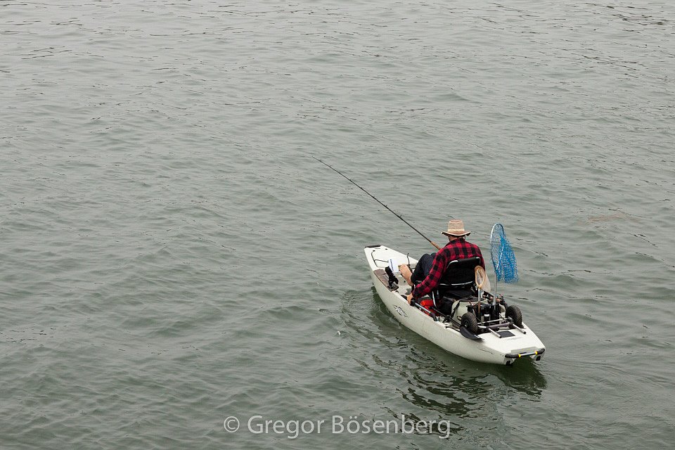 IMG-1256.jpg