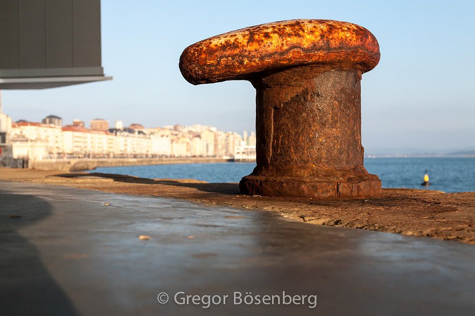 IMG-1484.jpg