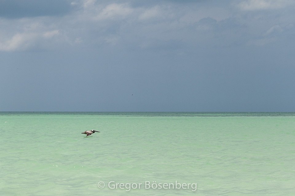 IMG-1657.jpg